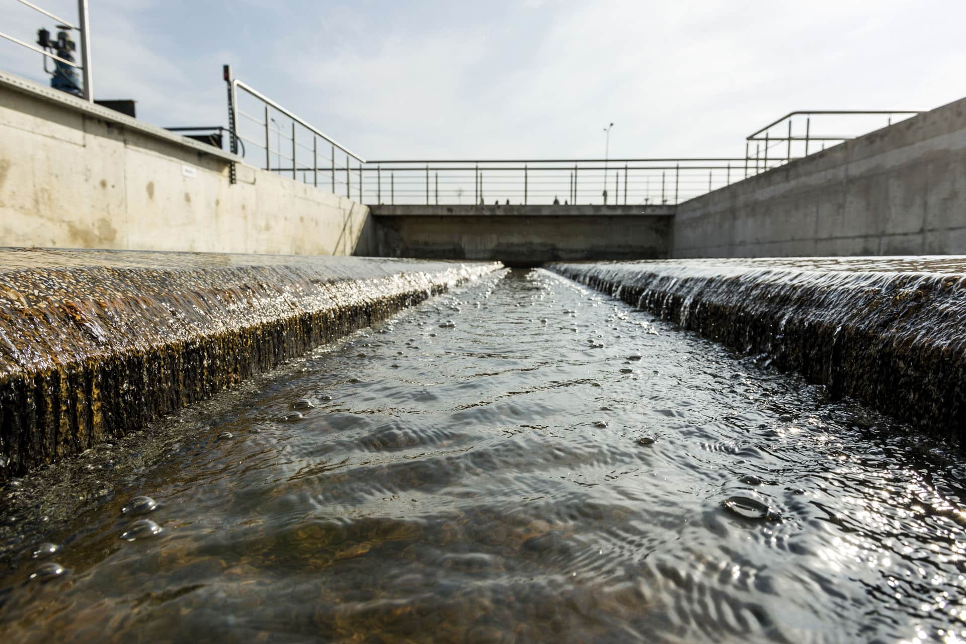 Water management